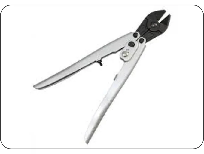 Bergeon Cutter Swtizerland